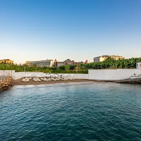 Otel White